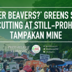 ‘Eager beavers?’ Greens Slam Tree Cutting at Still-prohibited Tampakan Mine