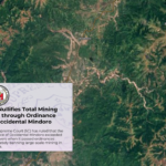 Green Groups Protest Supreme Court Rulings on World Environment Day