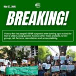 Amid DENR Suspension of Tree-Cutting Operations Along Quirino Avenue After Mass Protest, Green Groups Call for Total Cancellation and Accountability from DENR, SMC