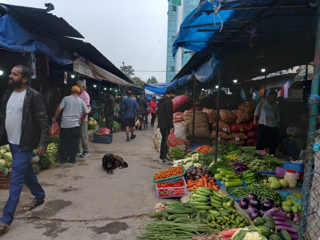 Local market offers diverse agricultural products which reflects the richness of Nepal lands. Kathmandu, 2026.
